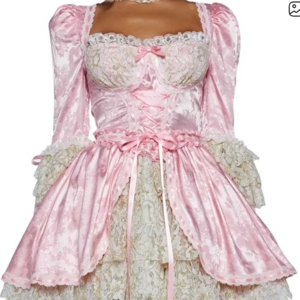 Pink Lace Women's Dress 18ptp Nwt - Picture 8 of 8
